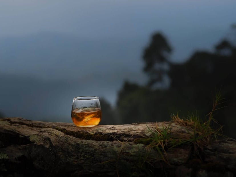 Glass of whiskey on a tree